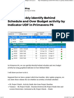 How To Quickly Identify Behind Schedule and Over Budget Activity by Indicator UDF in Primavera P6 - Do Duy Khuong Blog