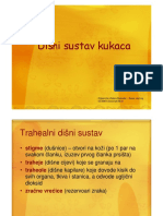 Dišni Sustav Kukaca PDF