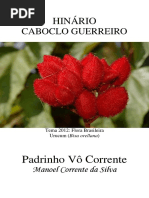 Padrinho Corrente - Caboclo Guerreiro 