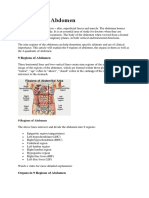 9 Regions of Abdomen.docx