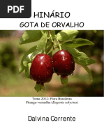 Dalvina Corrente - Gota de Orvalho 