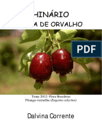 Dalvina Corrente - Gota de Orvalho 