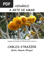Carlos Strazzer