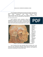 Perjalanan Arteri Transfersa Fasei