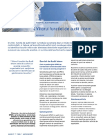 Viitorul Functiei de AI PDF