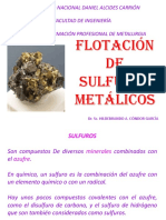 244054394 Conc II 8 Flotacion de Sulfuros Metalicos Pptx