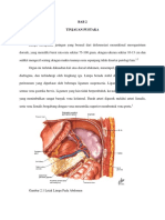 Refrat Spleen