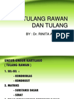 Tulang Rawan