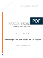 Marco Teorico1