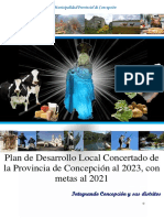Plan de Desarrollo Local Concertado de La Provincia de Concepcion Al 2023 v12 01