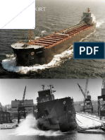 Algoport Sinking