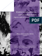 Locura en Indigenas México PDF