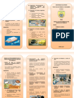 Triptico Manual de Procedimients - Ix