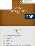 13.vitamine hidrosolubile