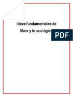 Ideas Fundamentales de Marx