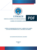 Cinetica de Bioadsorcion de Plomo y Arsenico en Carbon Activado Proveniente de La Cascarilla de Arroz