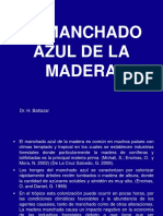 Caracterización de La Mancha Azul En