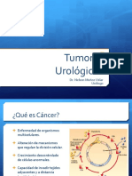tumores_urologicos 2017