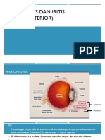 Uveitis anterior dalam