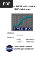Download Role of SMEDA in Developing SMEs in Pakistan by ali_zahid_1 SN36252633 doc pdf