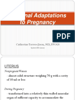 5 Maternal Adaptations To Pregnancy by Dr. Catherine Torres-Jison