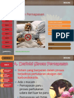 BAB 6 Sistem Pernapasan