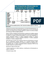 Clasificación Taxonómica Salmonella Pertenece A La Familia Enterobacteriaceae