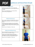 Scapular Stabilization Exercise Protocols | PDF | Shoulder | Strength ...