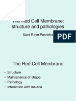 Red Cell Membrane