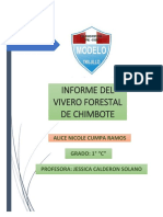 Informe