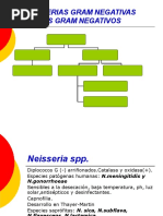 Download Neisseria-micobacterias by josuekstillo SN36253824 doc pdf
