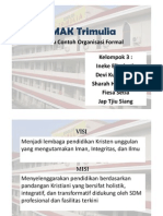 02-Tugas Contoh Organisasi Formal (Compatibility Mode)
