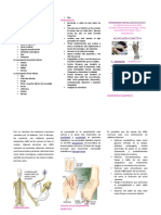 triptico de neurologia diabetica.doc