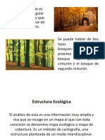 Planificacion Verde (1)