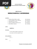 Practica Nº 4 Dermatoglifos