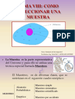 Tema Viii y Ix Copia