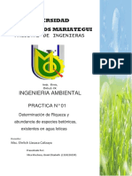 informe2