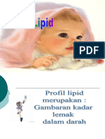 Profil Lipid