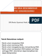 DNA Rekombinan