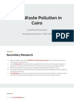 Solid Waste Pollution in Cairo