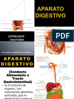 07- APARATO DIGESTIVO