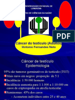 Câncer do testículo_Adultos