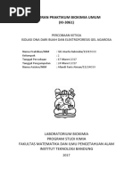 Laporan Hidroponik Laporan Hidroponik