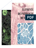 14_Patologia tesutului muscular_1 [Compatibility Mode].pdf