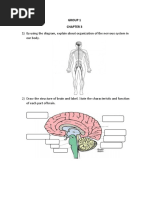 Chapter 3 Group Work