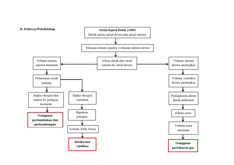 Pathway ASD | PDF