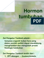 Hormon Tumbuhan