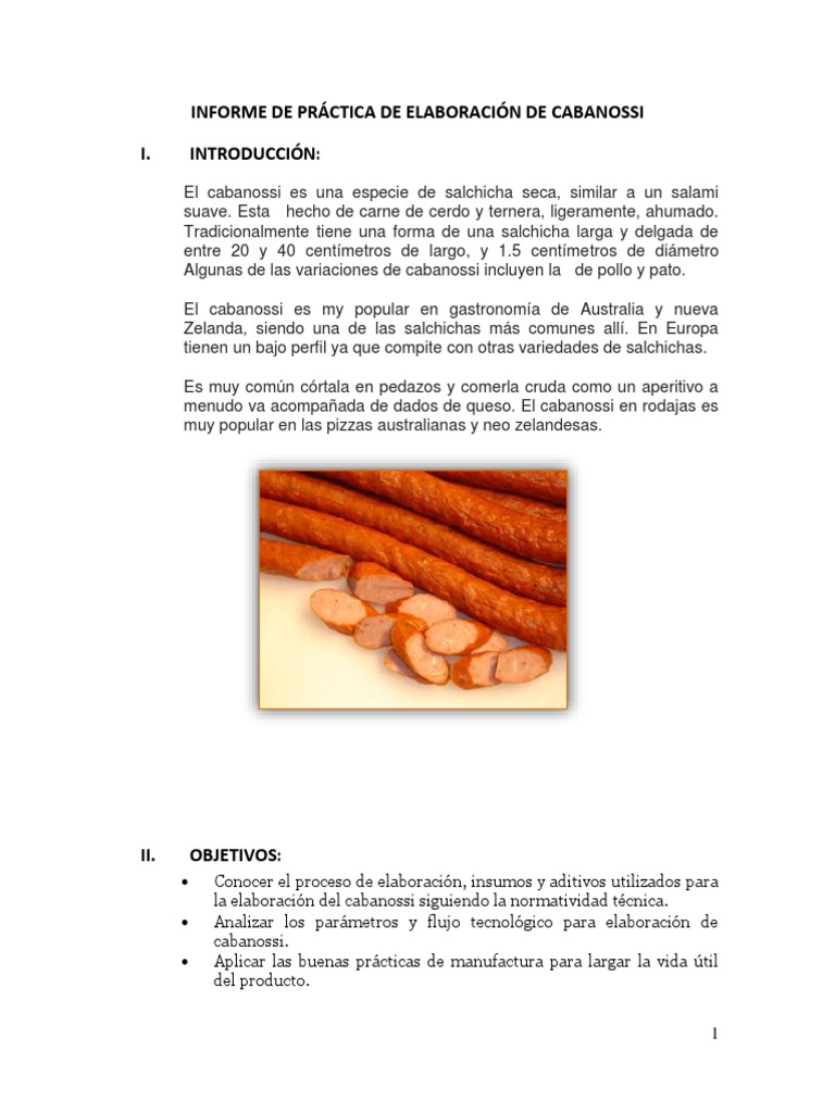 Practica de Carne Seca, PDF, Carne