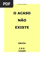 o Acaso Nao Existe