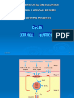 Metabolismul_glucidelor_2.pdf